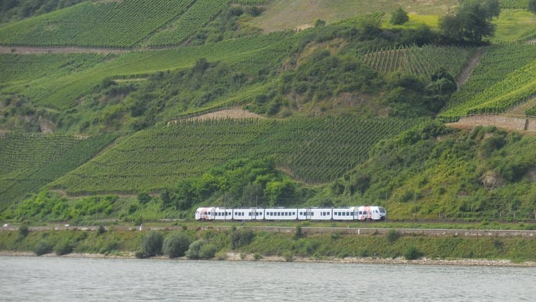 Regional Express auf  linken Rheinstecke (Foto: SWR, Alexander Schweitzer)