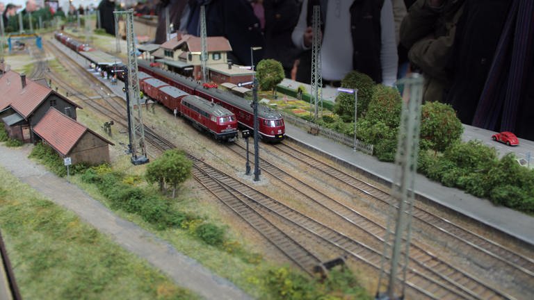 EBF Breisgau Spur H0: Größe: 5 Bahnhöfe (besteht aus 8 Modulen), 10 x 25 m Grundfläche, ca. 70 Module. Gleislänge  Streckenlänge ca. 100 m. Dampf- und Dieselbetrieb. (Foto: SWR, SWR)