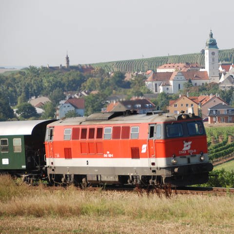 Reblaus Express bei Retz (Foto: SWR, SWR - Harald Kirchner)