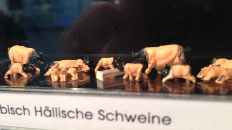 Preiser: Schwäbisch Hällische Schweine (Foto: SWR, SWR - Hagen von Ortloff)