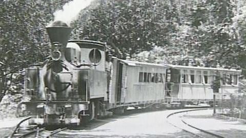 Die Pilionbahn wurde 1971 stillgelegt. (Foto: SWR, SWR -)