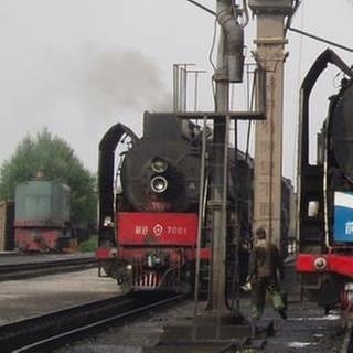 QJ im Bahnbetriebswerk (Foto: SWR, SWR - Hagen v. Ortloff)