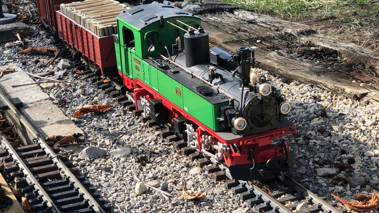 LGB-Zug auf einer Gartenbahnanlage, gezogen von einer sächsischen Dampflok. (Foto: SWR, Hagen von Ortloff)