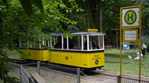 Kinderbahn "Rumpelstilzchen" (Foto: SWR, SWR - Alexander Schweitzer)