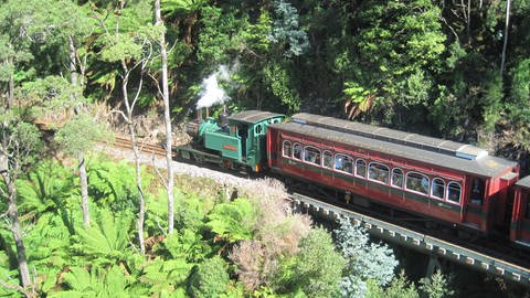 In der Schlucht des King River: die tasmanische West Coast Wilderness Railway (Foto: SWR, SWR - Susanne Mayer-Hagmann)