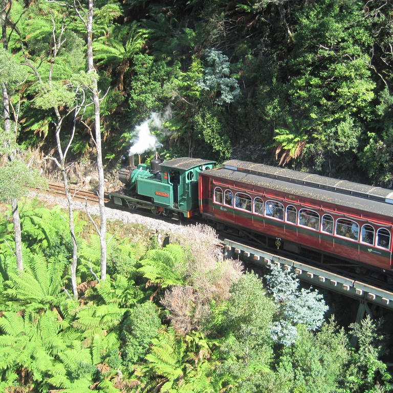 In der Schlucht des King River: die tasmanische West Coast Wilderness Railway (Foto: SWR, SWR - Susanne Mayer-Hagmann)