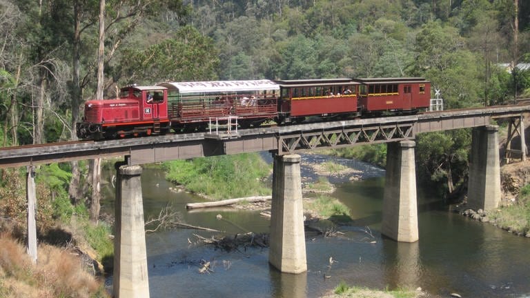 Die Walhalla Goldfields Railway quert den Thomson River (Foto: SWR, SWR - Susanne Mayer-Hagmann)