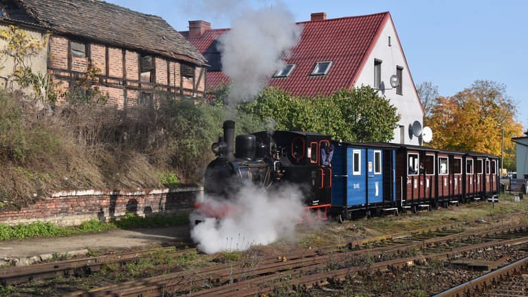 Dampfveteran Lowa BN2T auf der Schmalspurstrecke von Bialosliwie (Foto: SWR, Michael Mattig-Gerlach)