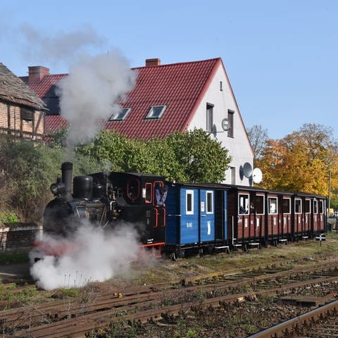 Dampfveteran Lowa BN2T auf der Schmalspurstrecke von Bialosliwie (Foto: SWR, Michael Mattig-Gerlach)