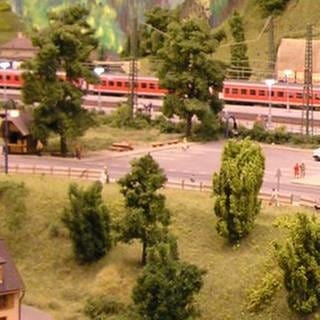 Schwarzwaldbahn en Miniature (Foto: SWR, SWR - Wolfgang Drichelt)