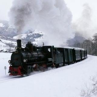 Pinzgaubahn Mh. 3 (Foto: SWR, SWR - Wolfgang Drichelt)