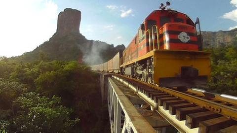 Transport auf der Lebensader Boliviens. Täglich rollen drei bis vier Güterzüge zwischen Santa Cruz und Quijarro hin und her, um das Land zu versorgen. (Foto: SWR, SWR - Mattig-Gerlach)
