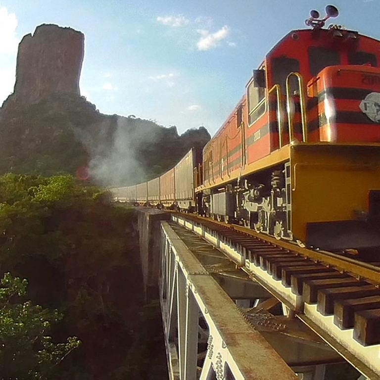 Transport auf der Lebensader Boliviens. Täglich rollen drei bis vier Güterzüge zwischen Santa Cruz und Quijarro hin und her, um das Land zu versorgen. (Foto: SWR, SWR - Mattig-Gerlach)