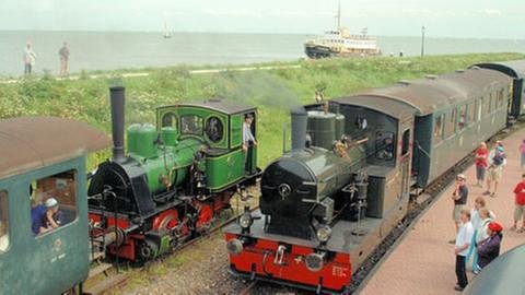Museums-Dampflokomotiven (Foto: SWR, SWR - Rein Korthoff)