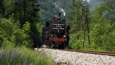Die Transalpina ist auf verschiedenen Abschnitten der Wocheiner Bahn eine klassische Bergstrecke mit bis zu 24 Promille Steigung. (Foto: SWR, SWR -)