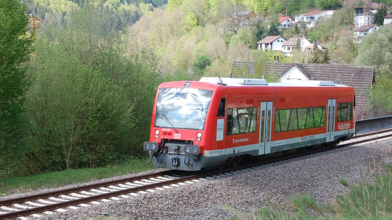 Die Kulturbahn bietet Bahnanschluß von Pforzheim bis nach Tübingen (Foto: SWR, Bettina Bansbach)