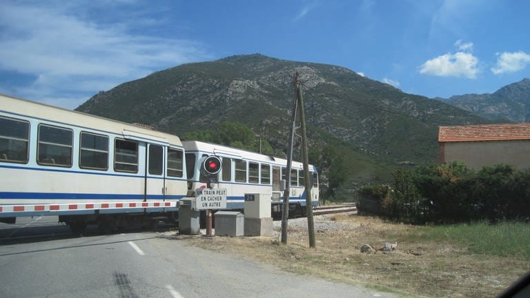 Die „Tramway de Balagne“ auf der Zweigstrecke im Norden der Insel. (Foto: SWR, Susanne Mayer-Hagmann)