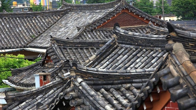 Traditionelle Häuser in Gyoungju (Foto: SWR, SWR)