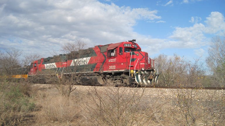 Mit dem Zug durch Mexiko (Foto: SWR)
