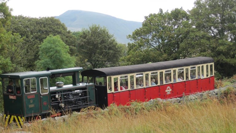 Snowdon Mountain Railway (Foto: SWR, SWR)