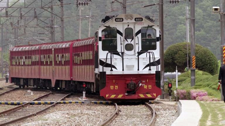 Wir nehmen Platz im „Baby baekho Train"– übersetzt heißt das „Weißer Tiger Zug“. (Foto: SWR, Grit Merten)