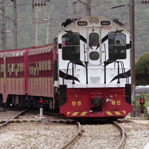 Wir nehmen Platz im „Baby baekho Train"– übersetzt heißt das „Weißer Tiger Zug“. (Foto: SWR, Grit Merten)