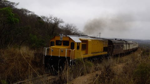 Shongololo Express (Foto: SWR, Alexander Schweitzer)