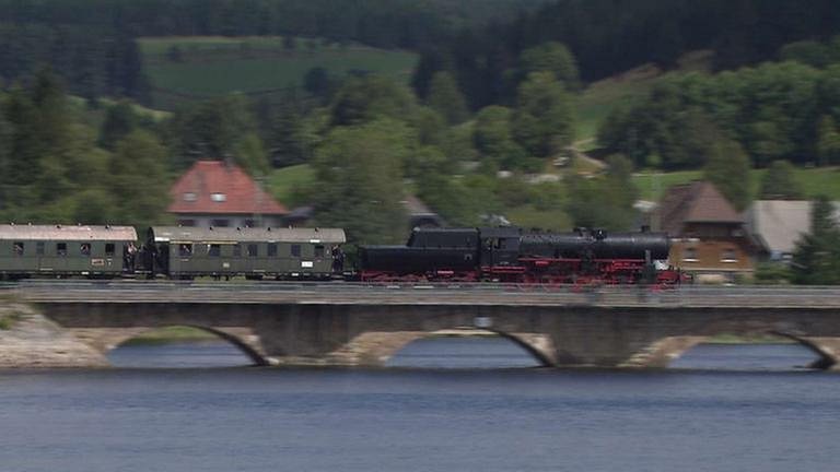 Dampfzug auf dem Weg zum Bahnhofsfest in Seebruck. (Foto: SWR, SWR - Harald Kirchner)