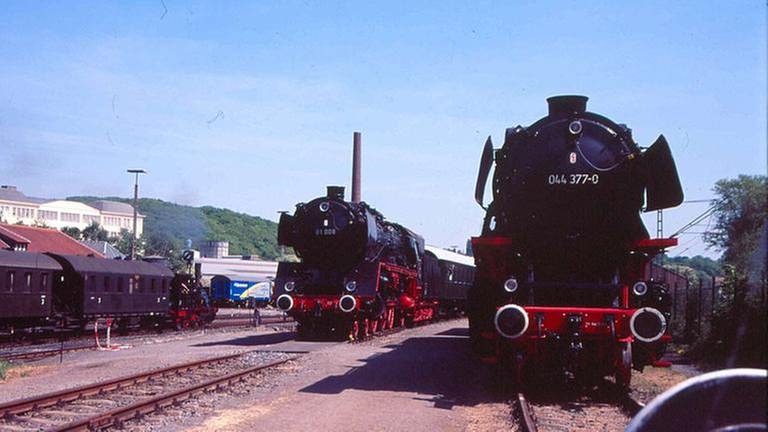 Über 180 Schienenfahrzeuge gibt es in Bochum-Dahlhausen. (Foto: SWR, SWR - Alexander Schweitzer)