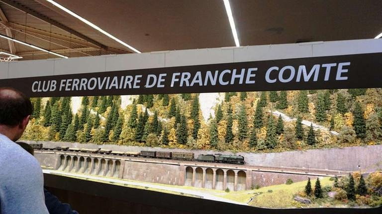 Der Club Ferroviaire de Franche Comté nimmt es ganz genau. (Foto: SWR, SWR - Wolfgang Drichelt)