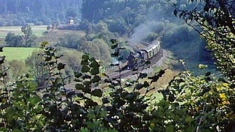 Noch zieht die Dampflok Züge durch die Landschaft. Die Fahrt durch das Zeitalter der Dampflokomotiven dauerte gerade mal 170 Jahre. (Foto: SWR, SWR -)