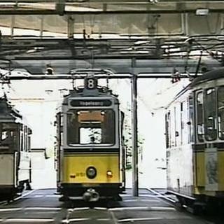 Das Straßenbahn-Museum in Stuttgart-Zuffenhausen mit seinen mehr als 50 historischen Fahrzeugen. (Foto: SWR, SWR -)