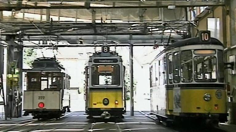 Das Straßenbahn-Museum in Stuttgart-Zuffenhausen mit seinen mehr als 50 historischen Fahrzeugen. (Foto: SWR, SWR -)