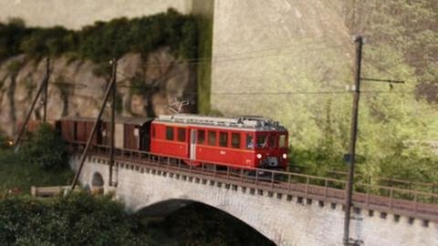 Misoxer Bahn (Foto: SWR, SWR - Wolfgang Drichelt)