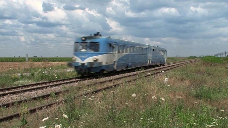 Der „große  Malaxa“, ein blauer Zug fährt durch eine Graslandschaft (Foto: SWR, SWR - Susanne Mayer-Hagmann)