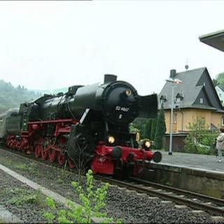 Eine Eisenbahn fährt in einen Bahnhof ein. (Foto: SWR, SWR -)