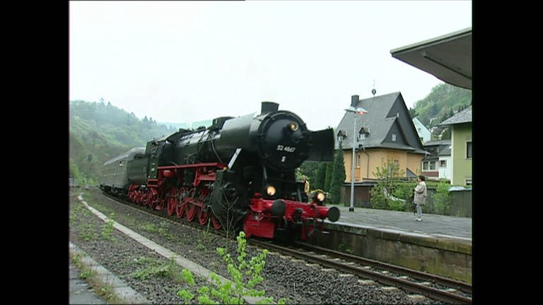 Eine Eisenbahn fährt in einen Bahnhof ein. (Foto: SWR, SWR -)