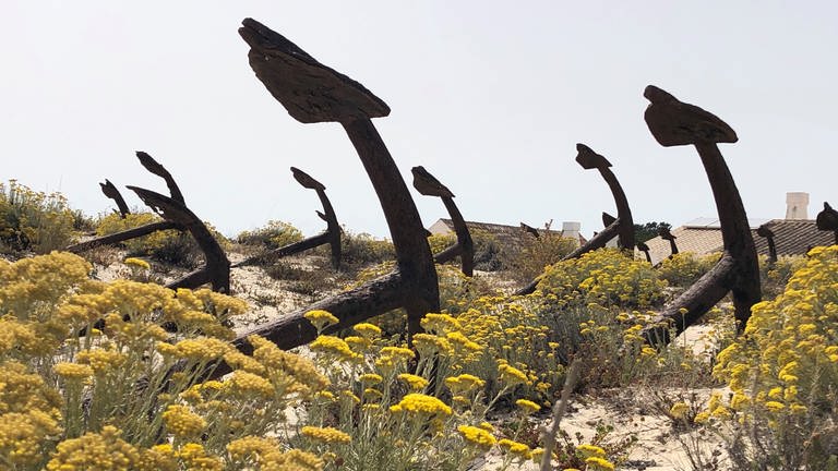 Ankerfriedhof am Strand Praia do Barril: Er erinnert an die Zeit, als an der Algarve in großem Umfang Thunfisch gefangen wurde. (Foto: SWR, Kirsten Ruppel)