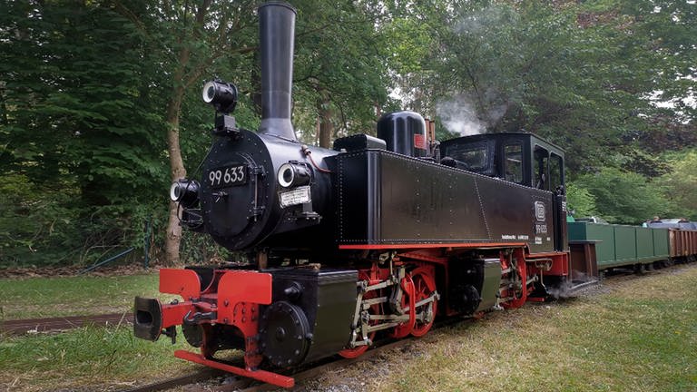 Eine TSSD, eine bekannte noch dazu. Die Eisenbahn-Romantik-Lok. Aber das ist nicht das Original. Das ist ein Modell in 1:4 – voll fahrbereit. (Foto: SWR, Andreas Stirl)