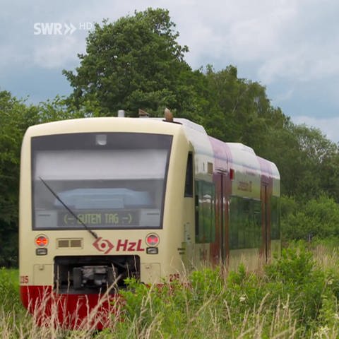 Die Biberbahn (Foto: SWR, Alexander Schweitzer)