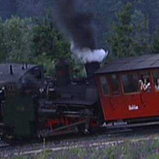 Lokomotive schiebt einen Wagon einen steilen Berg hinauf (Foto: SWR, SWR -)