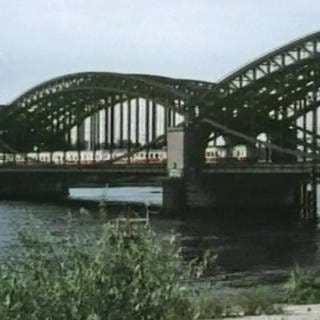 Süderelbebrücke (Foto: SWR, SWR)