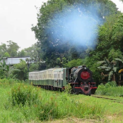 Eine Dampflok der englischen Vulcan Foundry aus den 50er Jahren steht vor den restaurierten Reisezugwagen der North Borneo Railway. (Foto: SWR, SWR - Susanne Mayer-Hagmann)