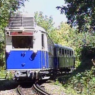 Die Kindereisenbahn wurde 1949 errichtet. (Foto: SWR, SWR -)