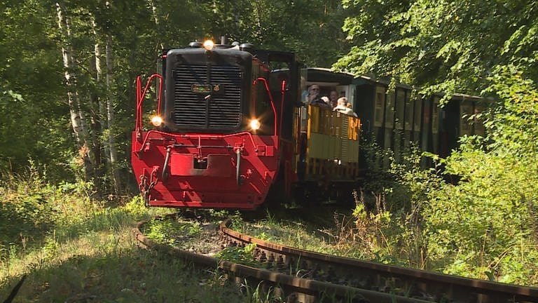 Die Schöma-Diesellok der Kohlebahn zieht den Museumszug von Meuselwitz über Haselbach bis nach Regis-Breitingen. Dabei führt die Fahrt auch durch den Kammerforst. (Foto: SWR, Andreas Stirl)