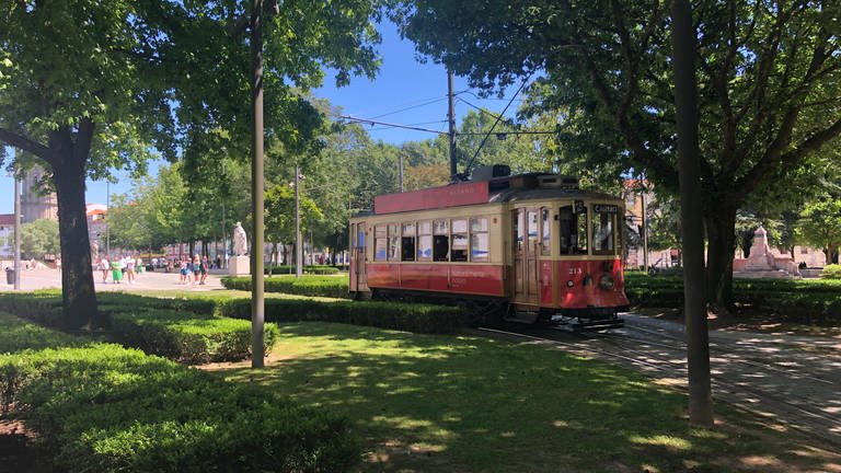 Straßenbahn in Porto im Park Jardim da Cordoaria (Foto: SWR, Alexander Schweitzer)