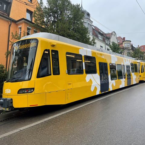 Zahnradbahnwagen in Stuttgart (Foto: SWR)