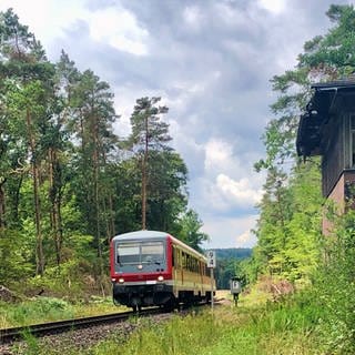 Der Triebzug der Baureihe 628 beim ehemaligen Bahnhof Fröhnerhof. Hier lebte ein Bahnwärter, der im Stellwerk die Signale für ein Ausweichgleis stellte. (Foto: SWR, Kirsten Ruppel)