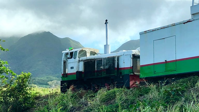 Auf der anderen Seite der Strecke beeindrucken Berge: Im Norden der Insel kommt man bei der Zugfahrt einem erloschenen Vulkan nahe.   (Foto: SWR, Kirsten Ruppel)