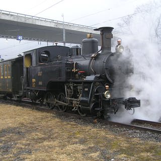 Schmalspur Dampfsonderzug der Ballenberg-Bahn.